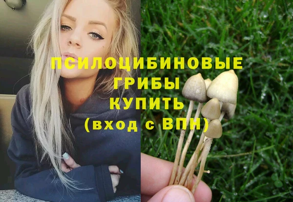 герыч Алексеевка