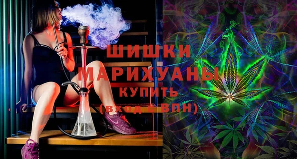 шишки Алексин