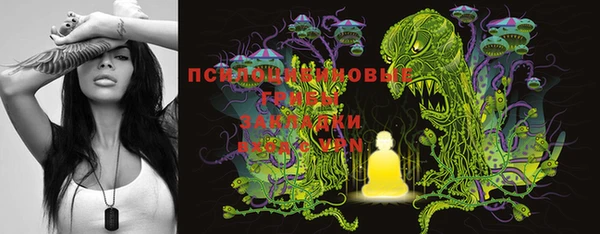 шишки Алексин