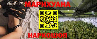 крисы Пыть-Ях
