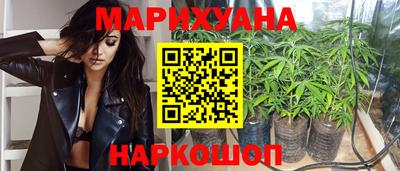 крисы Пыть-Ях
